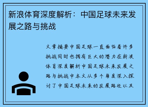 新浪体育深度解析：中国足球未来发展之路与挑战